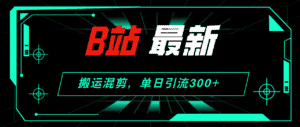 （12085期）B站最新，搬运混剪，单日引流300+创业粉-优优云创网