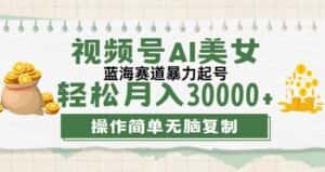 （12087期）视频号AI美女跳舞，轻松月入30000+，蓝海赛道，流量池巨大，起号猛，无…-优优云创网