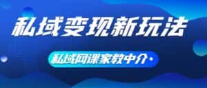 (12089期)私域变现新玩法,网课家教中介,只做渠道和流量,让大学生给你打工、0…-优优云创网
