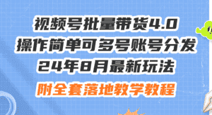 （12093期）24年8月最新玩法视频号批量带货4.0，操作简单可多号账号分发，附全套落…-优优云创网