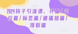 2024钩子引流课,开篇/定位篇/标签篇/破播放篇/涨粉篇-优优云创网
