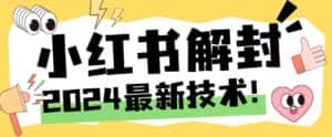 2024最新小红书账号封禁解封方法，无限释放手机号-优优云创网