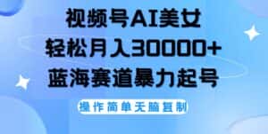 （12125期）视频号AI美女跳舞，轻松月入30000+，蓝海赛道，流量池巨大，起号猛，无…-优优云创网