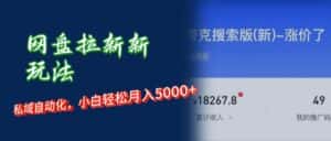 (12141期)网盘拉新+私域运营,小白轻松月入5000+!-优优云创网