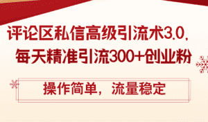 （12145期）评论区私信高级引流术3.0，每天精准引流300+创业粉，操作简单，流量稳定-优优云创网