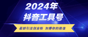 (12149期)24年抖音最新工具号日引流300+创业粉,日入5000+-优优云创网