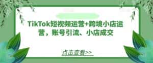 TikTok短视频运营+跨境小店运营，账号引流、小店成交-优优云创网