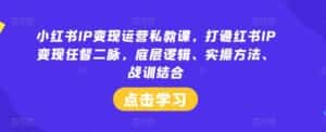小红书IP变现运营私教课，打通红书IP变现任督二脉，底层逻辑、实操方法、战训结合-优优云创网
