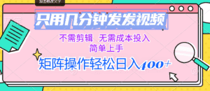 （12159期）只用几分钟发发视频，不需剪辑，无需成本投入，简单上手，矩阵操作轻松…-优优云创网