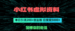 (12164期)小红书虚拟资料日引流200+创业粉,单日变现5000+-优优云创网