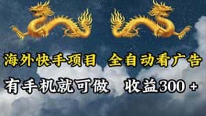 （12175期）海外快手项目，利用工具全自动看广告，每天轻松 300+-优优云创网