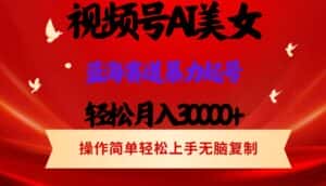 （12178期）视频号AI美女跳舞，轻松月入30000+，蓝海赛道，流量池巨大，起号猛，当…-优优云创网