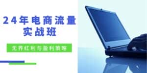 电商流量实战班:无界红利与盈利策略,终极提升/关键词优化/精准人群拓展/创新玩法-优优云创网