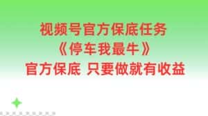 视频号官方保底任务,停车我最牛,官方保底只要做就有收益-优优云创网