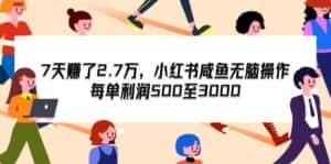 （12192期）7天收了2.7万，小红书咸鱼无脑操作，每单利润500至3000-优优云创网