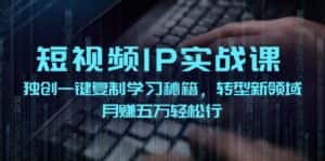 (12193期)短视频 IP实战课,独创一键复制学习秘籍,转战新领域,月赚五万轻松行-优优云创网