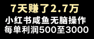 七天赚了2.7万！每单利润最少500+，轻松月入5万+小白有手就行-优优云创网
