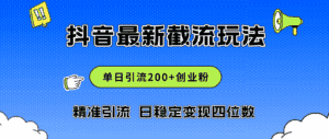 (12197期)2024年抖音评论区最新截流玩法,日引200+创业粉,日稳定变现四位数实操…-优优云创网