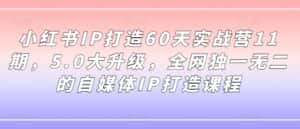 小红书IP打造60天实战营11期,5.0大升级,全网独一无二的自媒体IP打造课程-优优云创网