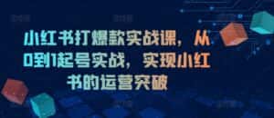 小红书打爆款实战课,从0到1起号实战,实现小红书的运营突破-优优云创网