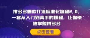 拼多多爆款打造标准化流程2.0，一套从入门到高手的课程，让你快速掌握拼多多-优优云创网
