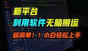 （12203期）B站平台用软件无脑搬运，月赚10000+，小白也能轻松上手-优优云创网