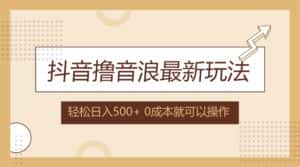 (12217期)抖音撸音浪最新玩法,不需要露脸,小白轻松上手,0成本就可操作,日入500+-优优云创网