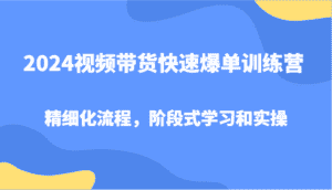 2024视频带货快速爆单训练营,精细化流程,阶段式学习和实操-优优云创网