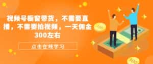 视频号橱窗带货,不需要直播,不需要拍视频,一天佣金300左右-优优云创网