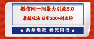 (12240期)微信问一问最新引流5.0,日稳定引流200+创业粉,加爆微信,卷死同行-优优云创网