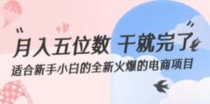 (12241期)月入五位数 干就完了 适合新手小白的全新火爆的电商项目-优优云创网