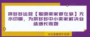 拼多多运营【聪明卖家都在做】无水印版,为拼多多中小卖家解决业绩增长难题-优优云创网