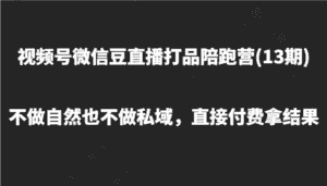 视频号微信豆直播打品陪跑(13期)，不做不自然流不做私域，直接付费拿结果-优优云创网