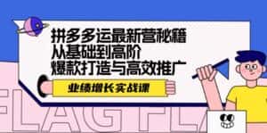 (12260期)拼多多运最新营秘籍:业绩 增长实战课,从基础到高阶,爆款打造与高效推广-优优云创网