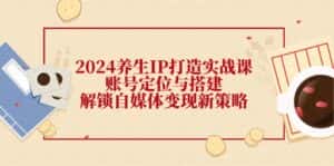 2024养生IP打造实战课:账号定位与搭建,解锁自媒体变现新策略-优优云创网