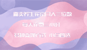靠卖养生花茶日入三位数,每天花费三小时 多种变现方式 小白首选-优优云创网