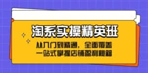 (12276期)淘系实操精英班:从入门到精通,全面覆盖,一站式掌握店铺盈利秘籍-优优云创网