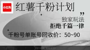（12280期）红薯千粉回收计划，单账号收益50+，可矩阵操作-优优云创网