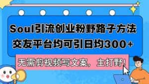 （12281期）Soul引流创业粉野路子方法，交友平台均可引日均300+，无需剪视频写文案…-优优云创网