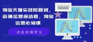 淘宝天猫实战陪跑班,店铺运营终结者,淘宝运营必修课-优优云创网