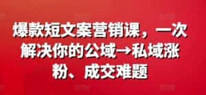 爆款短文案营销课,一次解决你的公域→私域涨粉、成交难题-优优云创网
