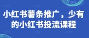 小红书薯条推广,少有的小红书投流课程-优优云创网
