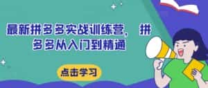 最新拼多多实战训练营， 拼多多从入门到精通-优优云创网