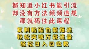 小红书靠复制粘贴一周突破万级流量池干货，以减肥为例，每天稳定引流变现四位数-优优云创网
