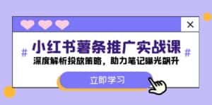 (12289期)小红书-薯 条 推 广 实战课:深度解析投放策略,助力笔记曝光飙升-优优云创网