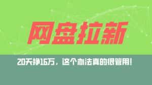 (12294期)网盘拉新+私域运营玩法,零基础入门,小白可操作,当天见效,日入5000+-优优云创网
