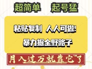 （12298期）头条号暴力掘金野路子玩法，人人可做！100%原创爆文-优优云创网