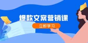 爆款文案营销课:公域转私域,涨粉成交一网打尽,各行业人士必备-优优云创网