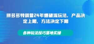 拼多多特训营24年爆破流玩法,产品决定上限,方法决定下限,各种玩法技巧落地实操-优优云创网
