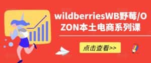 wildberriesWB野莓/OZON本土电商系列课,掌握WB产品优化,出单技巧和订单处理等-优优云创网